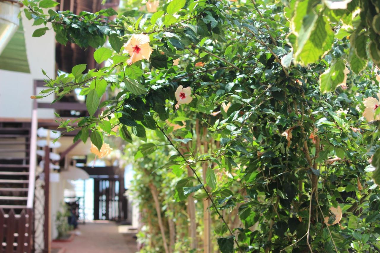 Pousada Parador 081 Pôrto das Galinhas